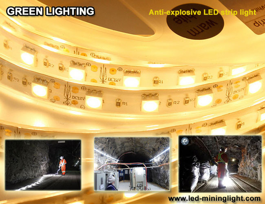 Explsoive Antilum flexibler LED Streifen 1500 wasserdichtes 60pcs führte jedes Meter