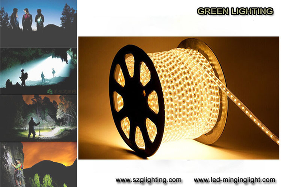 SMD5050 7.2W/M 0.6A bunter des Sicherheits-LED flexibler wasserdichter Grad Streifen-Licht-IP67