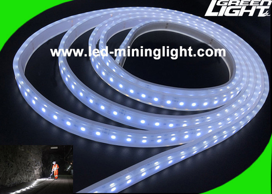 Geführte Neonbeleuchtung SMD5050 24V im Freien imprägniert 5 Meter pro Spule