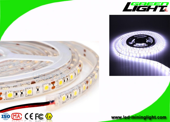 Geführte Neonbeleuchtung SMD5050 24V im Freien imprägniert 5 Meter pro Spule