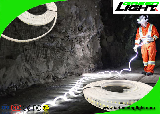 Wasserdichte flexible Neonbeleuchtung 24v 60 LED LED pro Meter mit 1-jähriger Garantie