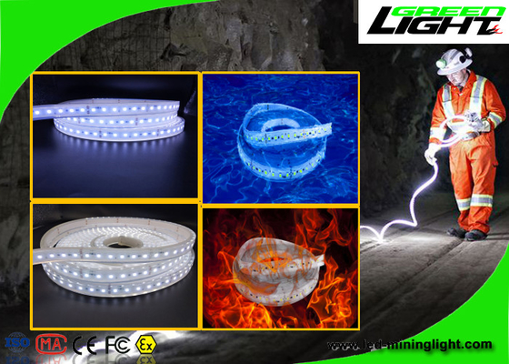 Wasserdichte flexible Neonbeleuchtung 24v 60 LED LED pro Meter mit 1-jähriger Garantie
