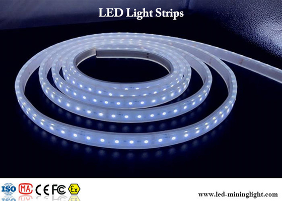 24V super helle geführte Neonbeleuchtung RGB SMD 5050 mit wasserdichten Verbindungsstücken