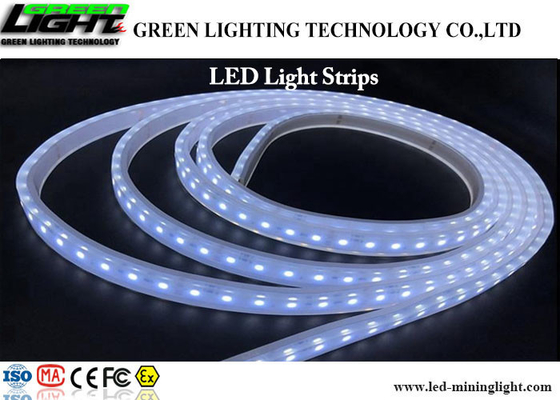 24V super helle geführte Neonbeleuchtung RGB SMD 5050 mit wasserdichten Verbindungsstücken