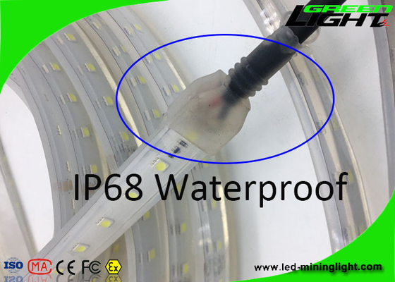 Materielle 12v LED flexible Neonbeleuchtung SMD 5050 IP68 Sillicone imprägniert 50/60 Hz