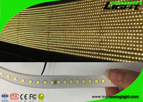 Materielle 12v LED flexible Neonbeleuchtung SMD 5050 IP68 Sillicone imprägniert 50/60 Hz