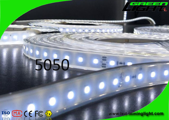 Materielle 12v LED flexible Neonbeleuchtung SMD 5050 IP68 Sillicone imprägniert 50/60 Hz