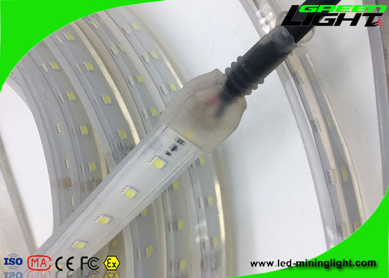 5050 wasserdichte geführte Neonbeleuchtungs-flexible helle weiße feuerbeständige 24v Smd