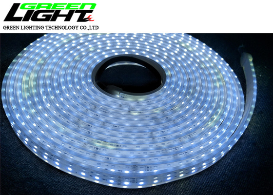 Doppelte flexible Neonbeleuchtung AC220V 3528 oder 5050 der Reihen-IP68 SMD3528 LED SMD LED Epistar 2000Lum