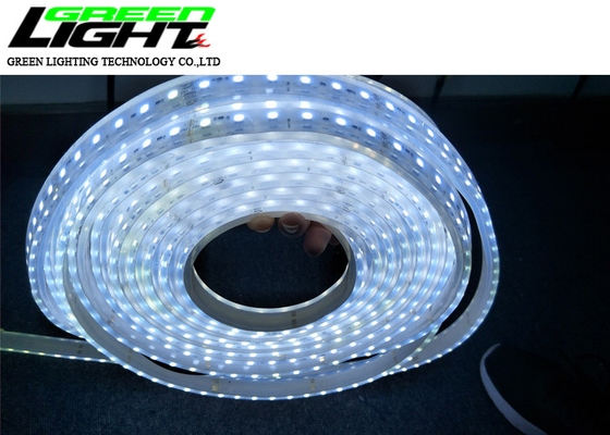 SMD5050 17W 24V 60 LED 85lum führte Flex Rope Light