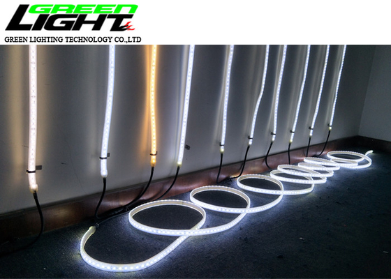 SMD5050 17W 24V 60 LED 85lum führte Flex Rope Light