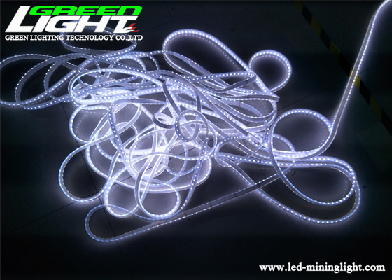 Flexible Neonbeleuchtung DC36V 20m/Roll 12W 72LEDs/M LED