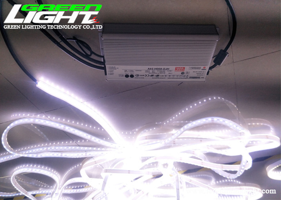 Flexible Neonbeleuchtung DC36V 20m/Roll 12W 72LEDs/M LED
