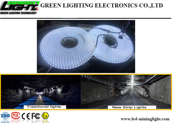 1100LM IP68 imprägniern geführte Streifen-Lichter 15W 110V Antialkali-SMD5050 Silikon-Material