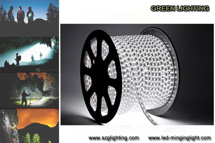SMD5050 7.2W/M 0.6A bunter des Sicherheits-LED flexibler wasserdichter Grad Streifen-Licht-IP67