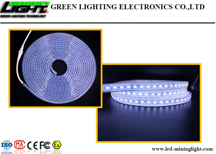 Flexible Neonbeleuchtung RGB-Farbeled imprägniert Unterstützung kundengebundene Länge IP68